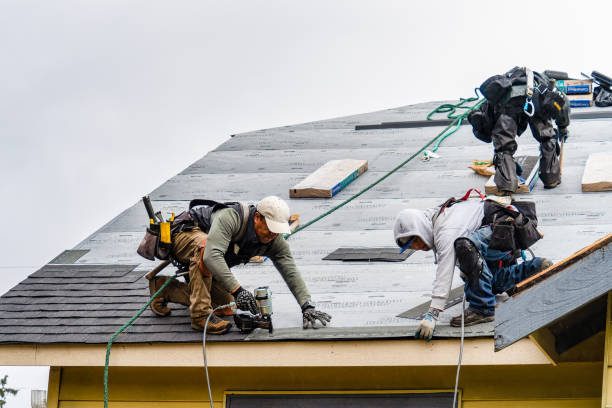 Professional Storm Damage Roof Repair technician working in Woodville, OH